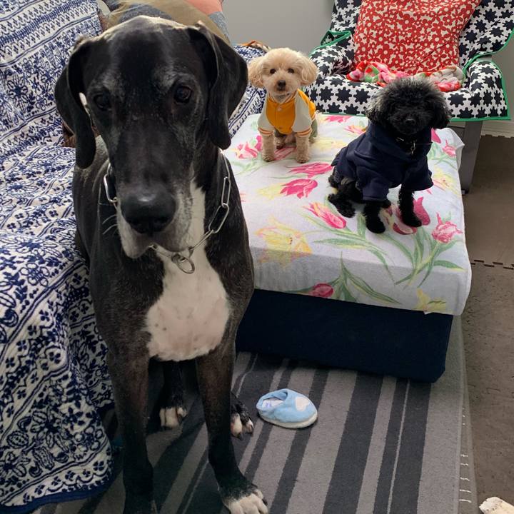 44033a31 18bb 461b afa2 158fe24cb08c 1546987631557