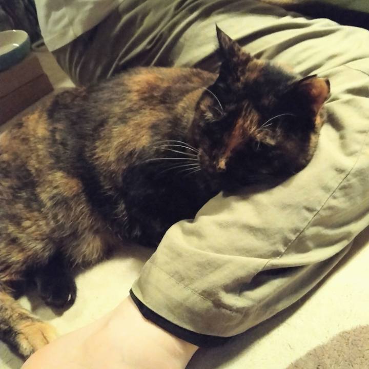 44036210 e701 489f 9a5e c1f11ae2370c 1654315669431