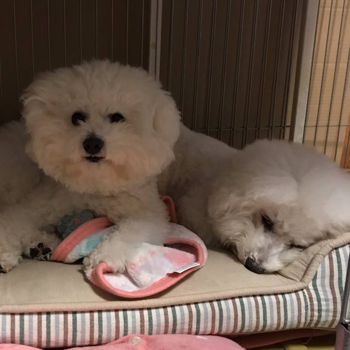 44040c54 c5cd 473c 8662 daa26c02028c 1575272460519