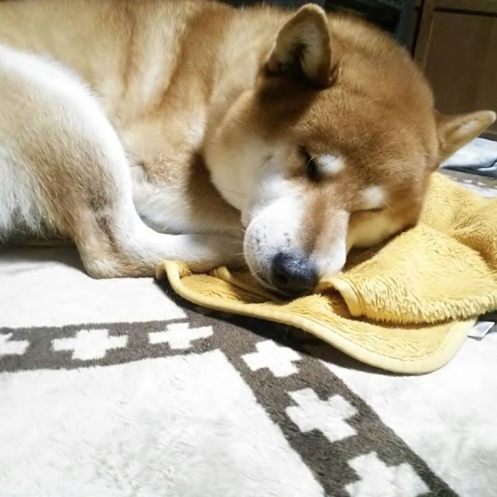 4404209f 173d 401a 877b b3499ab090e8 1511012055727