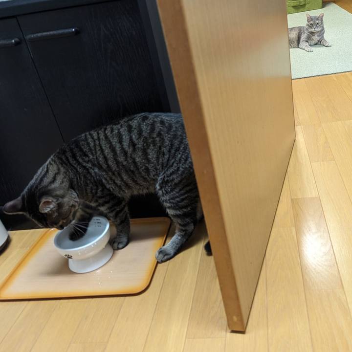 44044808 505e 4d0d 8562 570825ad1989 1716701111767