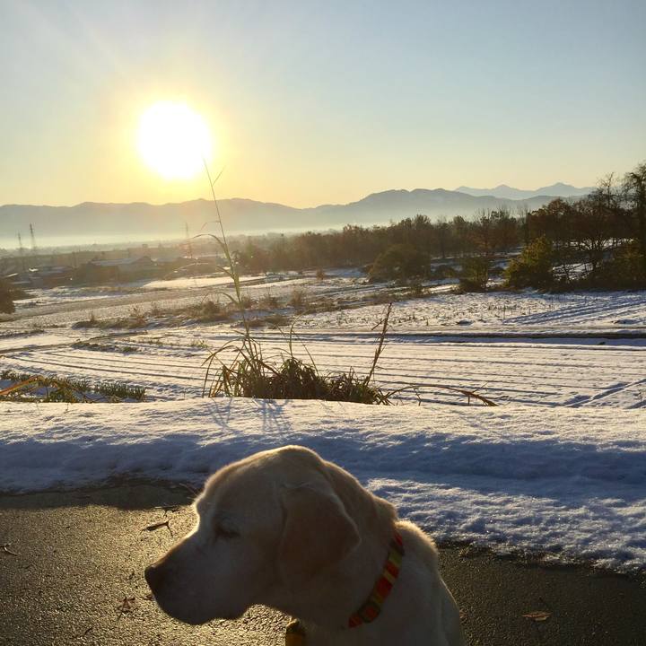 4404558c e8ea 43ec 92eb 5e5eb70e9108 1511324338811