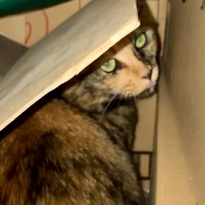 44048f76 4fd4 4a10 af44 cf4582d3d12a 1730367851671