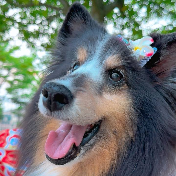 4404a421 be73 4263 b348 e66eea827f4b 1753290792306