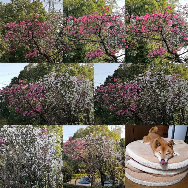 4404b7c2 db1a 44b5 8768 3989bf4dbfa1 1617008878891