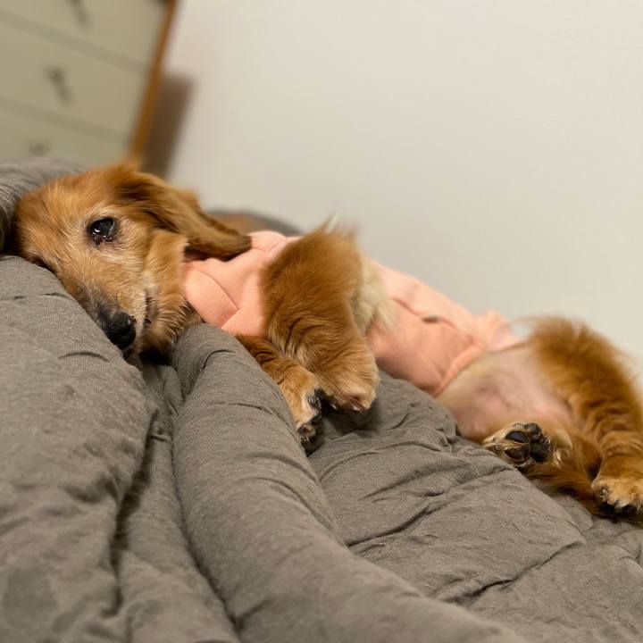 4404bb9b 292b 4ec0 8e15 f573d327e3db 1711371690332