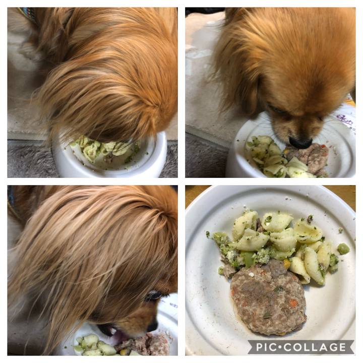 4404e67e 121d 4206 9ea7 0799ea5ca2f0 1551277513590