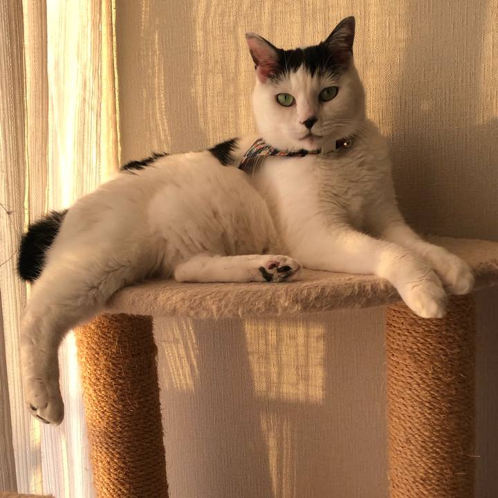 4404ee5d 0e76 425a 959b 52ac02cc8b1c 1577778087049