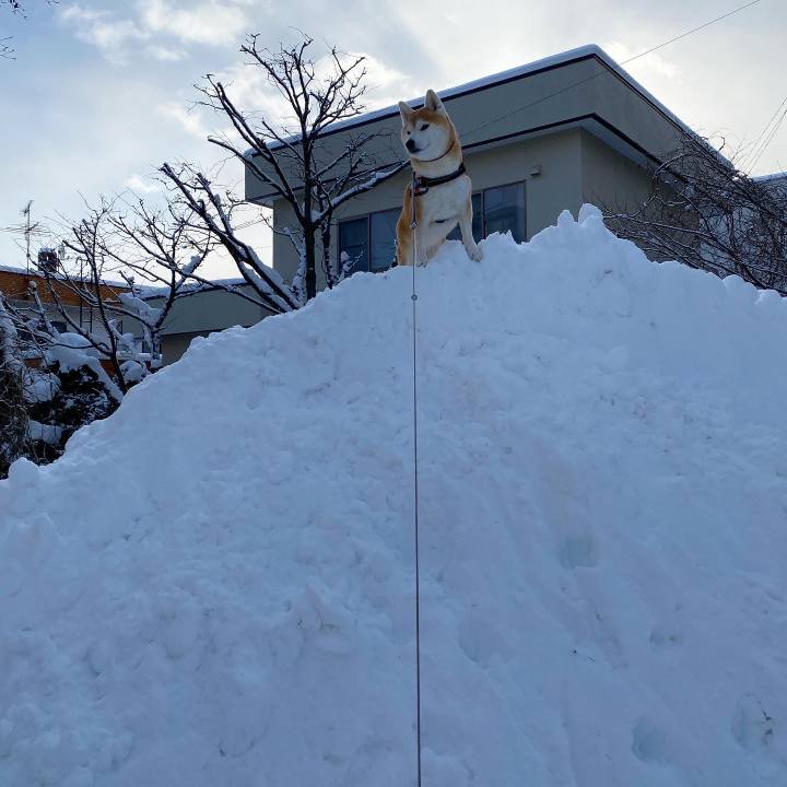 44050825 a593 44a9 9542 098424a2ba17 1671510148803