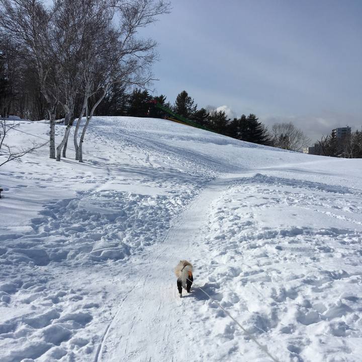 44053fc7 e4c0 48f9 af8c 6dc2512957d2 1519707330487