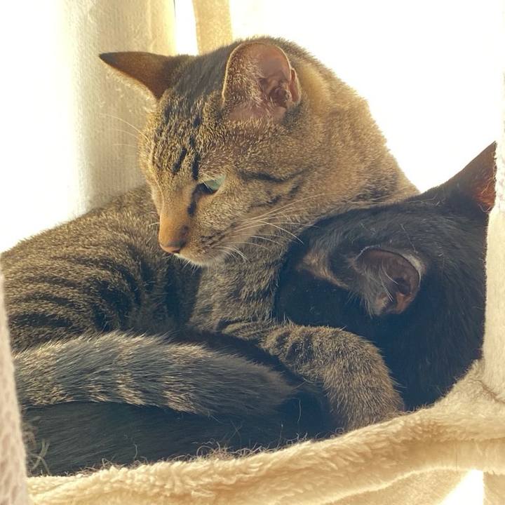 44054d0e a643 4cc8 b386 150cb926b66f 1763994429985