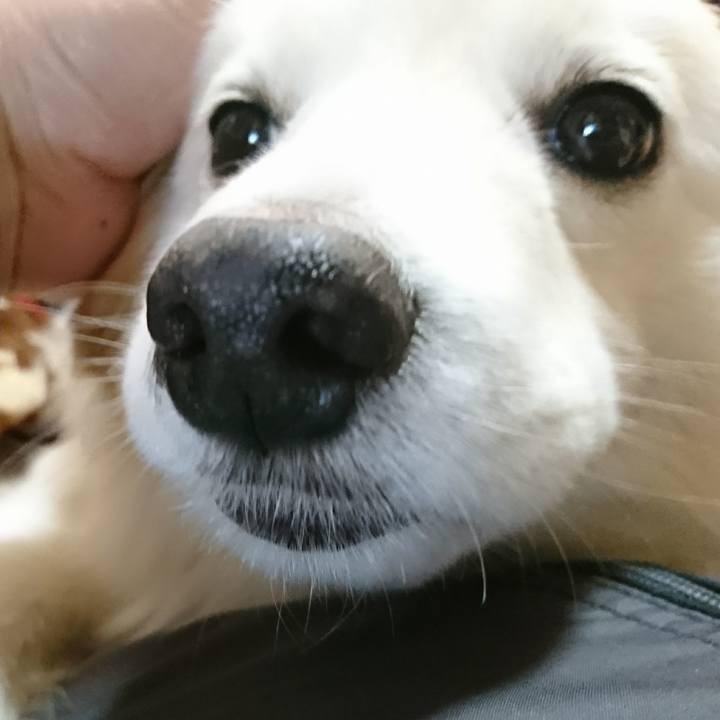 4405521d 7f75 4ff7 8cec bf7b14d8bf74 1519780198211