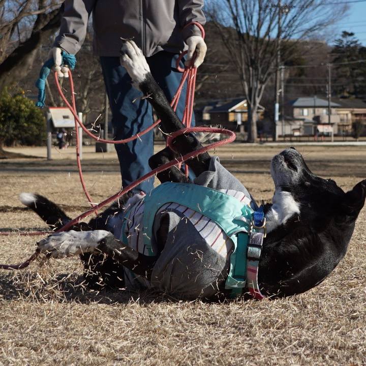 44058f4a 0d7b 4129 aa98 d53853c8f5c2 1769302622095