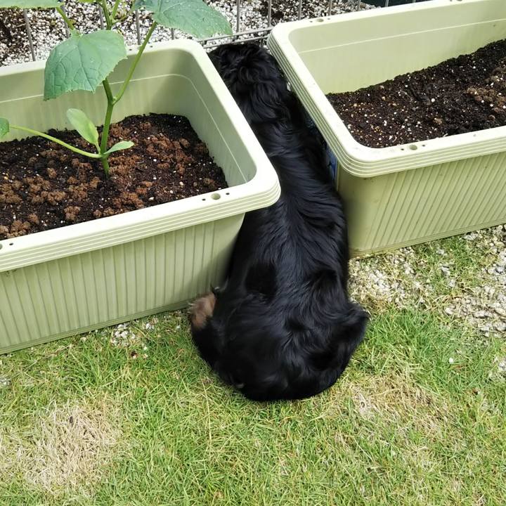 44059640 d1ba 49f0 af29 5186c228d248 1593643916796