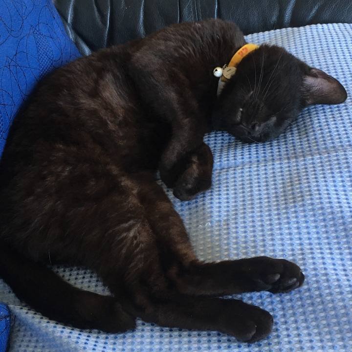 44059f1b d041 4caa 91d3 6d84d01be4c6 1532242026438