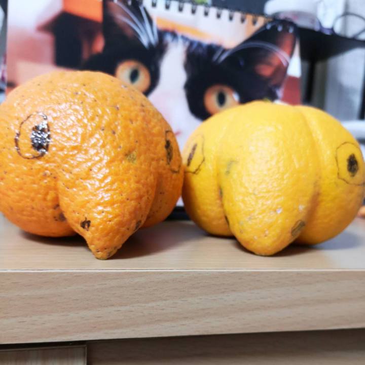 4405aeb2 dc1e 4d35 8361 a6e415089eb7 1646796750471