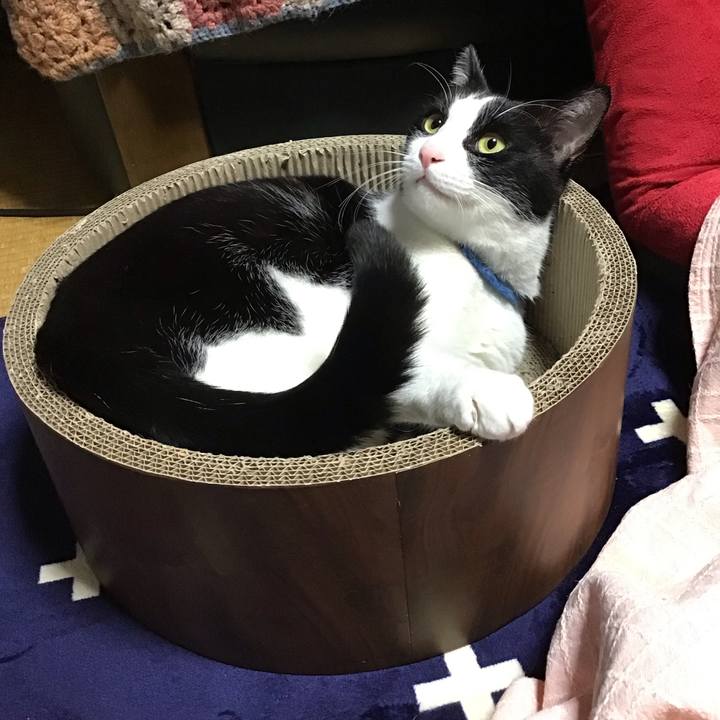 4405d7cd 2fd8 4fd2 bc02 6486e43b4187 1703755919478