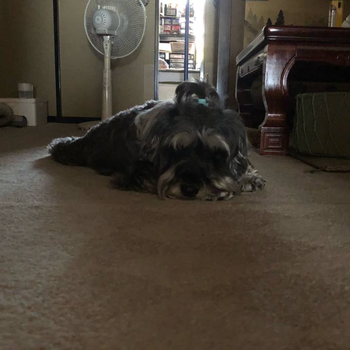 4405f208 1cac 44e9 b0b7 12b9db359f77 1530422481905