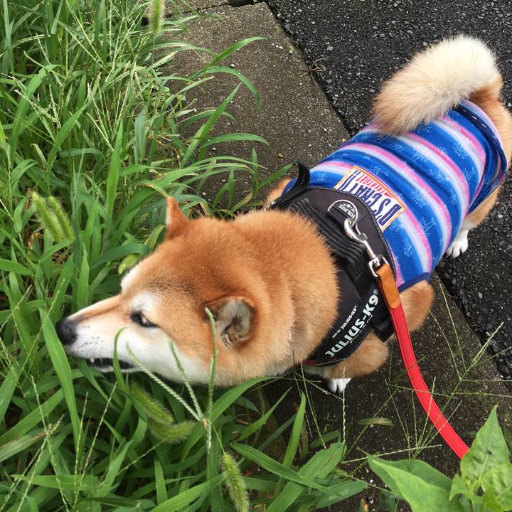 44062886 01c3 4301 ad13 eef344151196 1595640254243