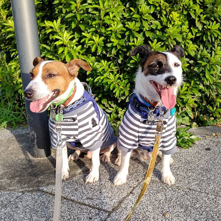 44064284 a54f 40f1 8102 97fad66b673f 1627768636161