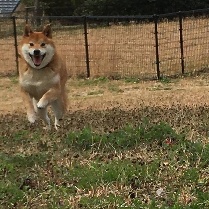 44065151 4431 49be 8e8f 2f88b8eaed8f 1553995790985