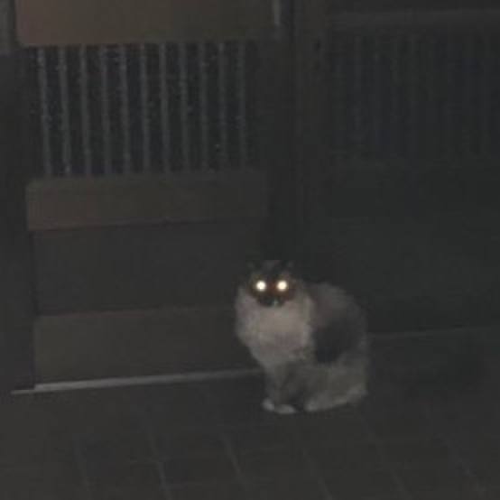 44065c64 5302 45a0 9a9b f9f2c2fceb4a 1622863388701