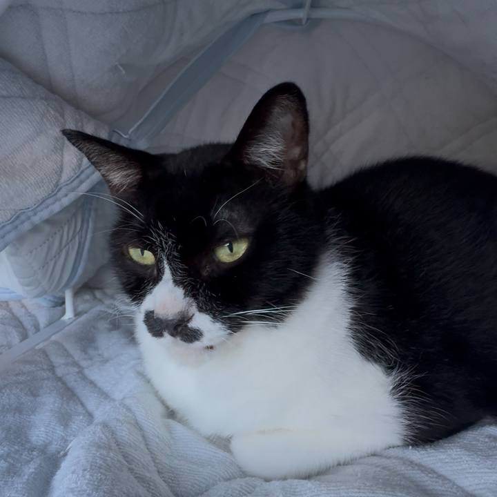 440662d4 5a76 453d 828d e6a255054ef0 1758668933876