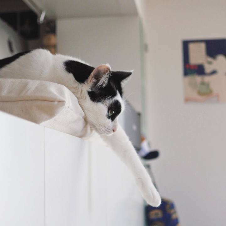 44066c48 1b2b 4782 8264 c6e0d4689405 1542615906124