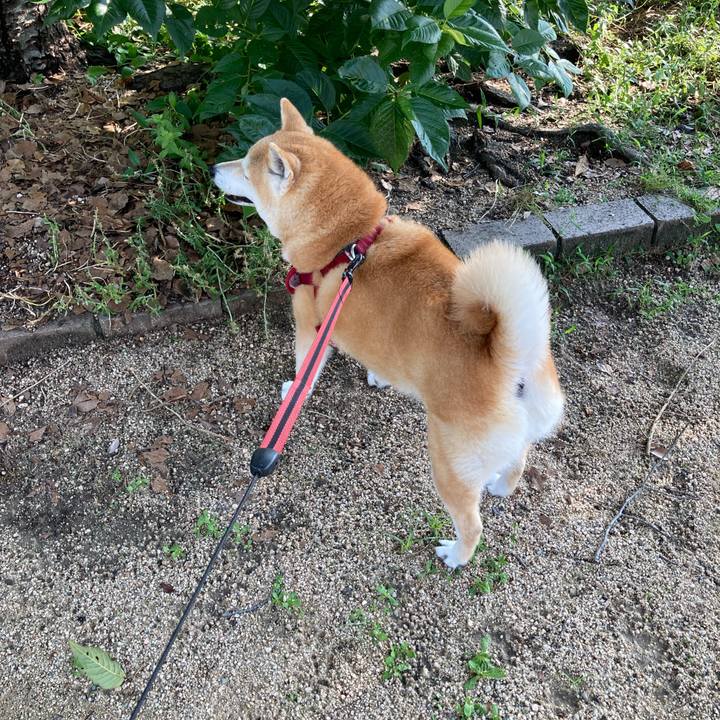 4406931c f6a7 489f bb10 2e252cb01d96 1625875123427