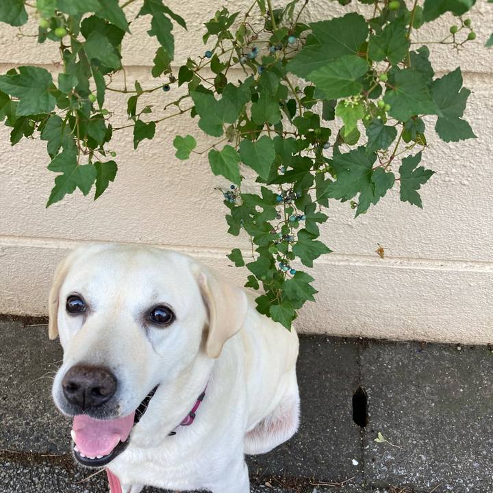 4406945e b301 48ac 9bf1 04dc427ca8b5 1728998659279