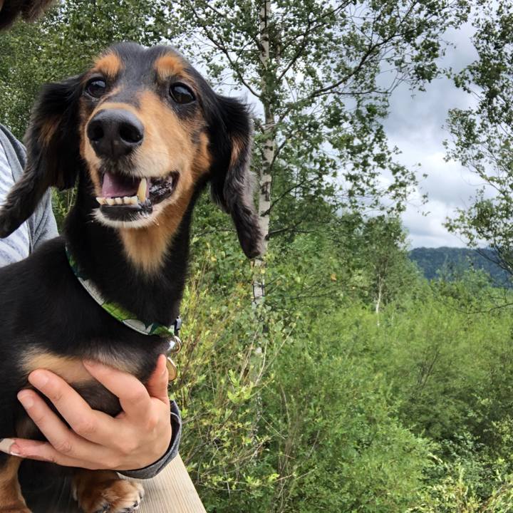 4406b6c5 db68 41bc bc0a 51eb26318e24 1534391012122