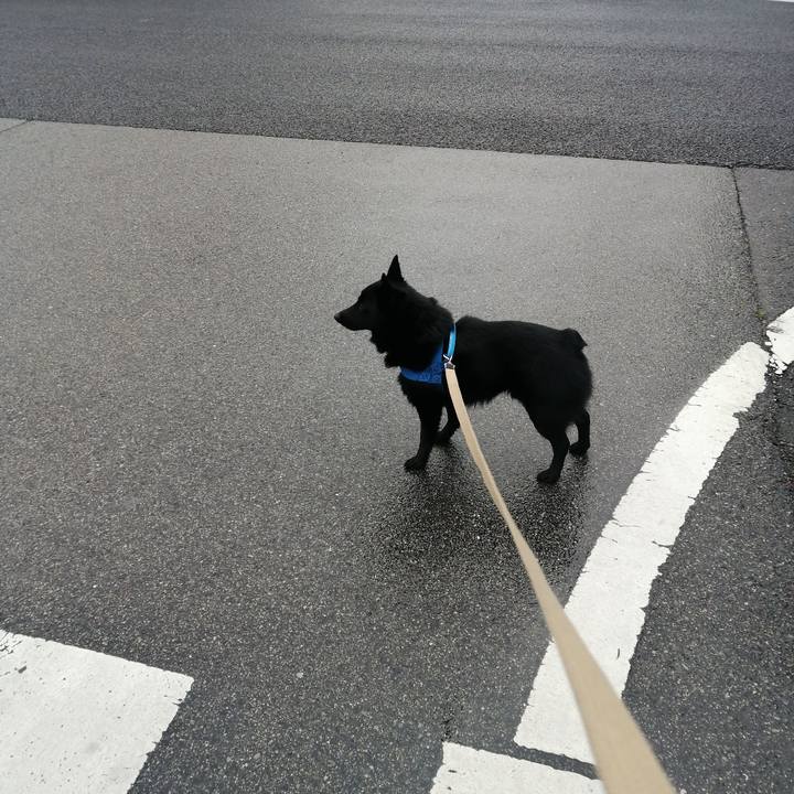 4406c5b3 4e9a 44cb a783 b3399b4510cf 1618266053330