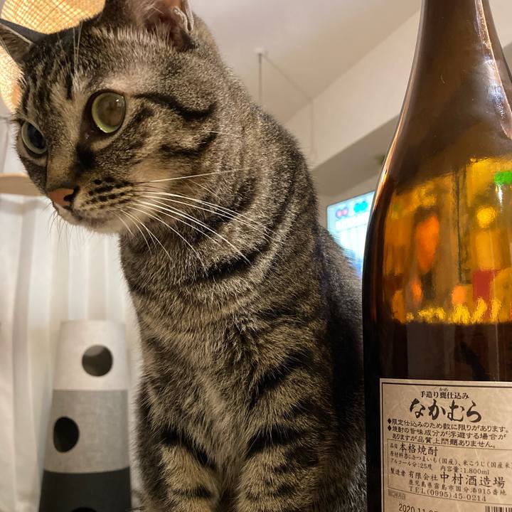 4406d66a e9e3 48f4 8c29 5848cc1c0e03 1631273999972