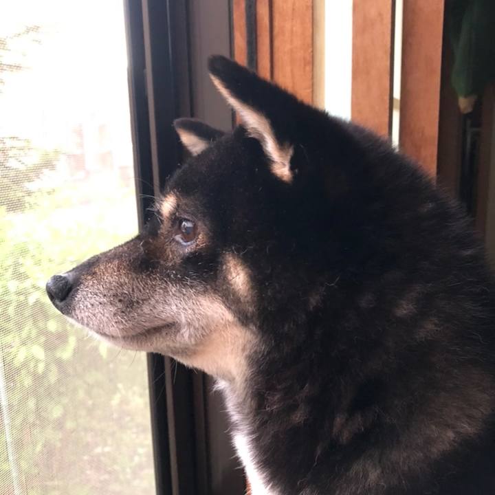 4406d8f6 3304 4d54 88f8 799f87178381 1558493712094