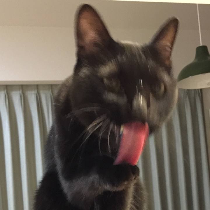 4406da58 fb77 40b0 b1dd 8aa503ac89ce 1539527408400