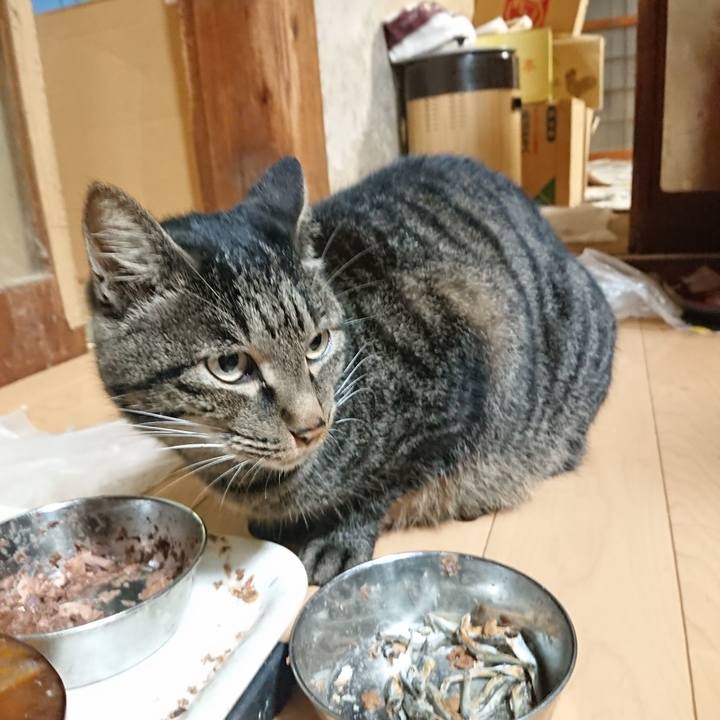 4406dd13 8ee7 4975 8b98 85988af29c17 1633610258865