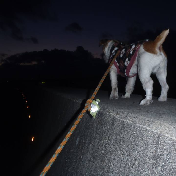 4406e044 c251 4645 9d04 205afdcec9c4 1512556901785