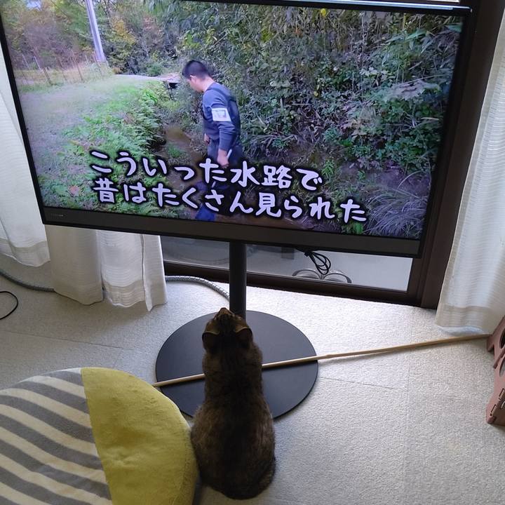 44071ae8 0326 4b46 b0de cf2fc975d9da 1641174823643