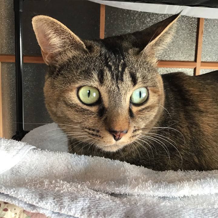 44072dfe 4d22 485e a538 c0ba61d71bd9 1645667198406