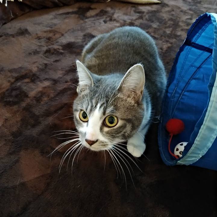 44074bc8 0619 4f80 b5d9 991c49c95a5d 1578176970163