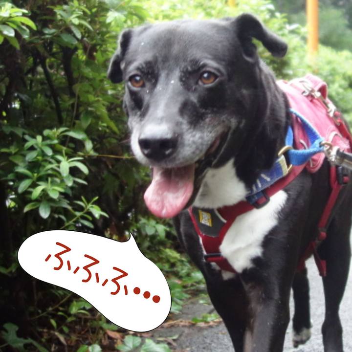 44075057 22f6 4171 b817 5ad3ebf0e237 1695427865547