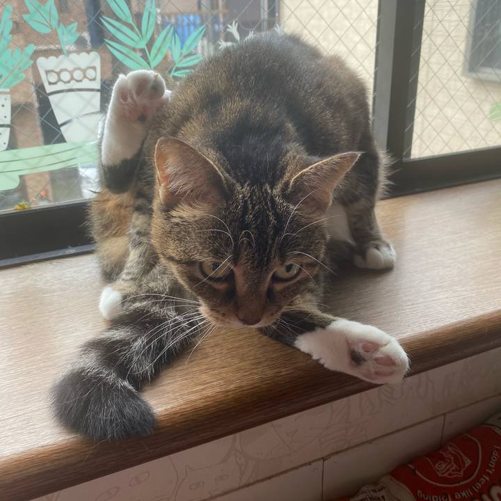 44075117 b2bb 4a40 8131 db98461e57b8 1629090535384