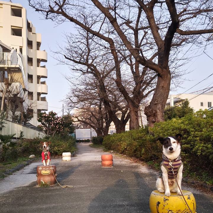 44075f5c 691a 4399 a6ba 57c8e4ca2c51 1742851662772