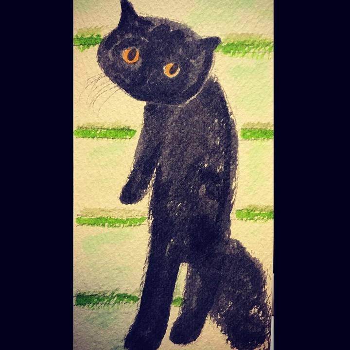 44076a51 c2fa 4e31 9446 362bb4b798ed 1575295263220