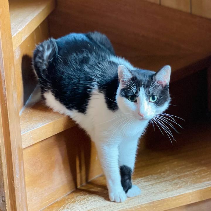 440776f8 a19d 482a 9279 ab2afd89ac05 1632362257462