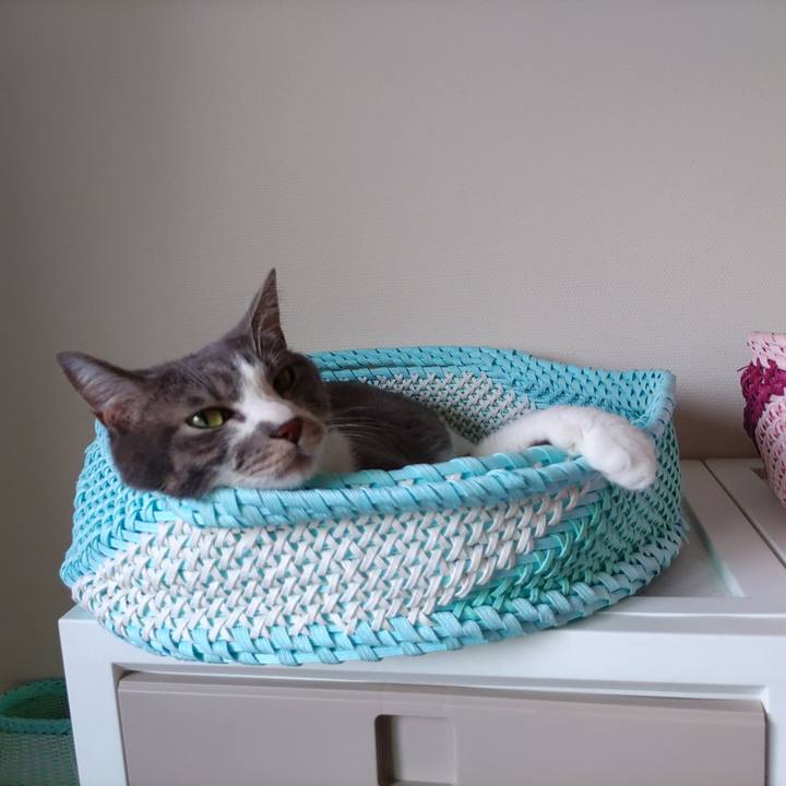 44077a62 62f6 4358 841a 670eab20ee09 1660954329993