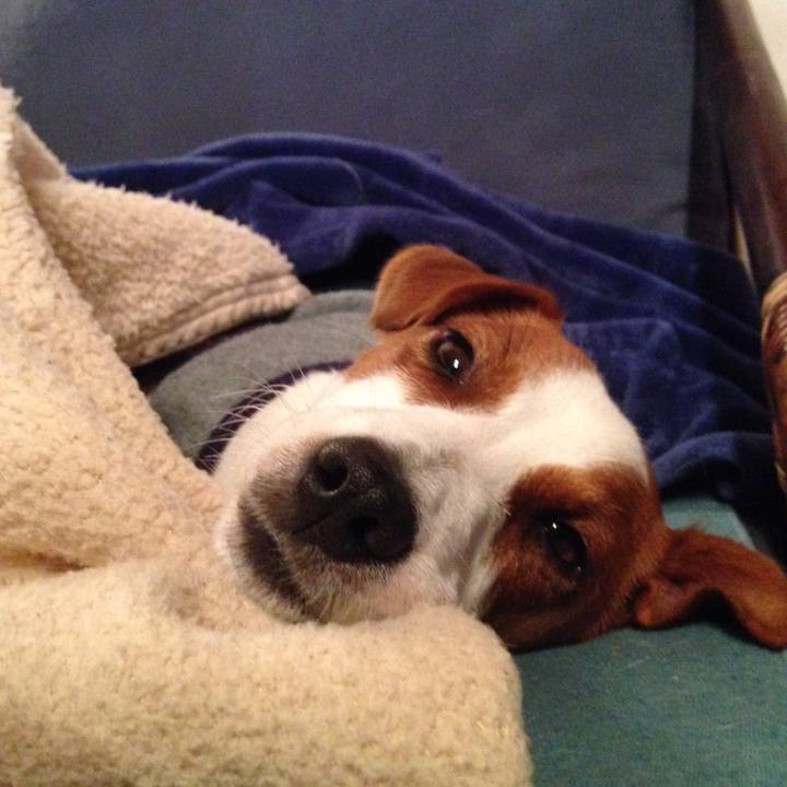 44079867 b1ae 4597 9379 9dbf1cd3bd18 1508401412530