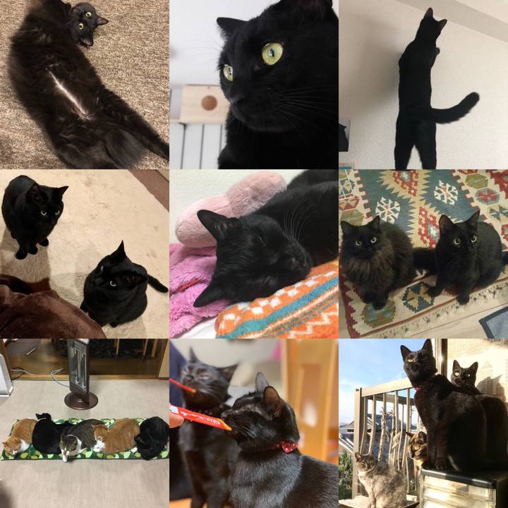 4407ace5 8dd1 4f40 9cba 6c3fc5005063 1543678560069