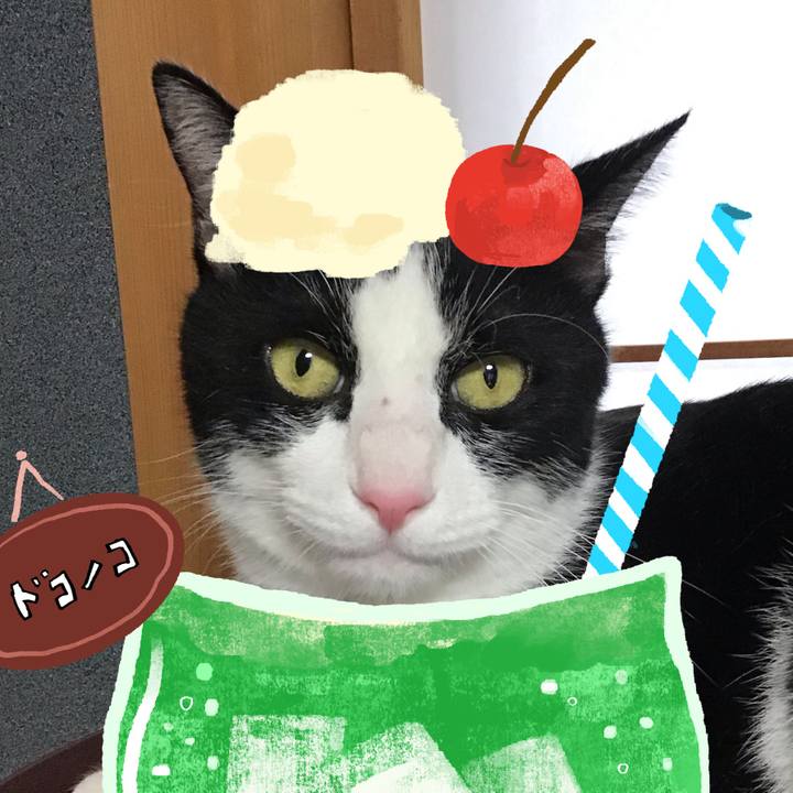 4407e666 6e00 4908 9686 34e5f01154ff 1755244337385