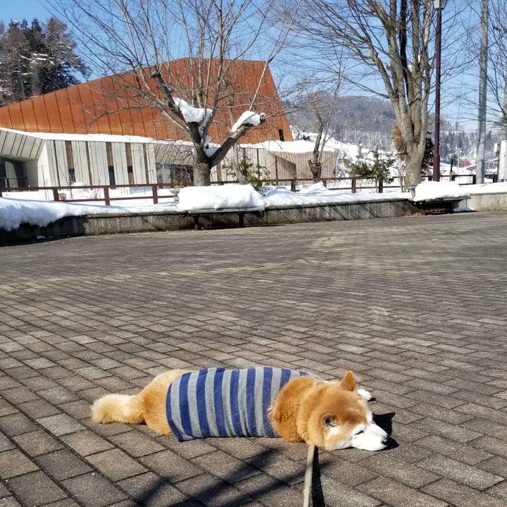 4407f3a7 1c12 4351 92e0 fdc512097484 1675479437257